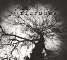 Pinhole photograph for Microbes Music